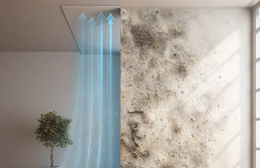 Schimmel im Haus erkennen & bekämpfen