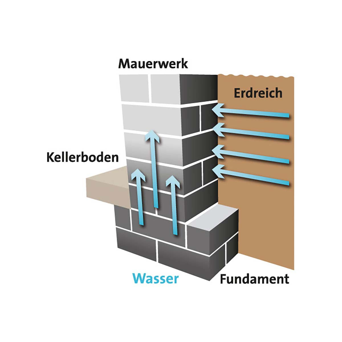 Schnittzeichnung einer Kellerwand: blaue Pfeile zeigen Wasser, das von unten aus dem Fundament aufsteigt und seitlich aus dem Erdreich eindringt